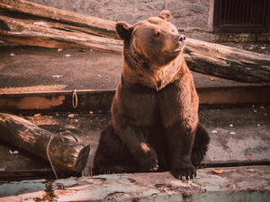 (Shutterstock/ File)