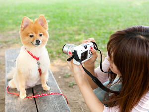 (Shutterstock/ File Photo)