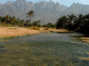 Yemeni government and the United Arab Emirates agreed on a deal for the UAE forces to withdraw from the strategic Socotra Island. (AFP/ File Photo)
