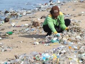Person collecting rubbish at beach (AFP/File Photo)	