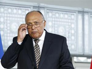 Egyptian Foreign Minister Sameh Shoukry. (AFP/File)