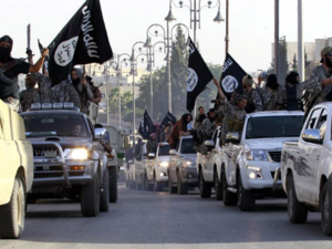 فلول صغيرة توهم بأنها كبيرة 