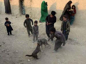 أفغانستان.. 15 قتيلا في هجوم لـ"داعش" استهدف منزل أحد قادة طالبان
