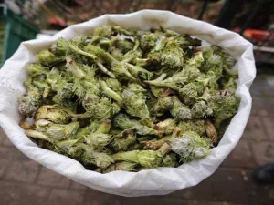العكوب، نبتة برية شوكية، تطهى مع اللبن واللحم والأرز  