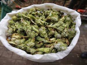 العكوب، نبتة برية شوكية، تطهى مع اللبن واللحم والأرز  