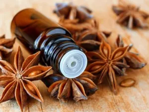 يحتوي زيت اليانسون على مركبات مضادة للأكسدة

