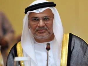 قرقاش يثير جدلاً بتعليقه على العملية التركية في عفرين السورية  
