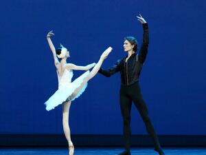 The magical event will take place on 26 and 27 January. (Dance. Passion. Life.)