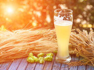 يعدّ مشروب الشعير أحد أكثر أنواع المشروبات الطبيعية الباردة فائدة للصحة