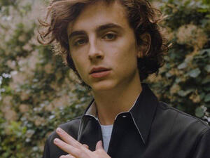 He's well versed in how awards season works  (Source: tchalamet / Instagram )