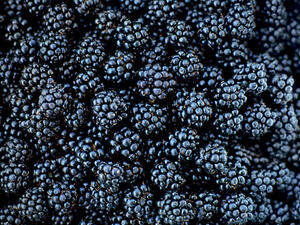 قناع التوت الأسود له تأثير رائع في نضارة البشرة ويمنع الظهور المبكر لعلامات الشيخوخة