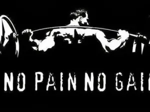 No Pain..No Gain..