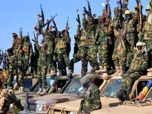 According to witnesses, Boko Haram militants fled village after the attack. (AFP/File)
