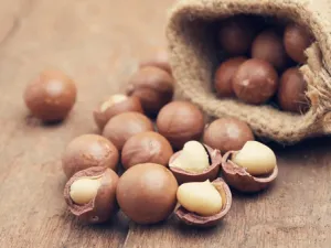 البندق قوي الأمعاء وينظفها من المواد السامة والغازات الضارة