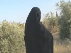 ارشيف