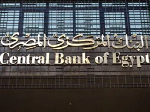 The Central Bank of Egypt will hold an exceptional auction to help meet import needs. (Al Bawaba/File)