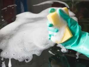 اسفنجة المطبخ تعتبر بمثابة البيت المرفه للبكتيريا