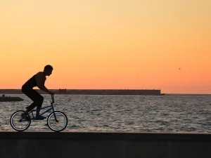 Pick one activity and you could burn the most calories in an hour!