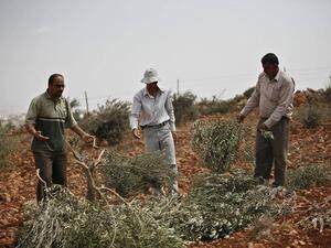 اتهم أبو عليا الجيش الإسرائيلي بتوفير الحماية للمستوطنين
