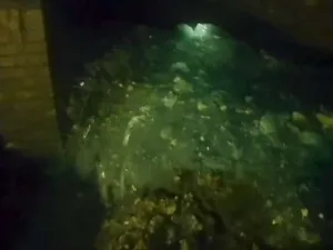 "وحش دهني" هائل في نظام الصرف الصحي في بريطانيا