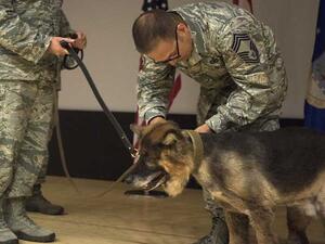 قال التقرير إن عدة جنود بحثوا عن كلابهم وأنقذوها من بيوت الكلاب التابعة للجيش 
