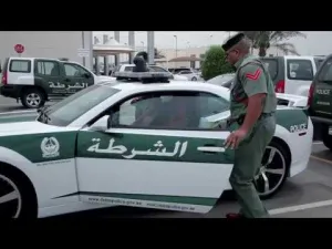 ارشيف