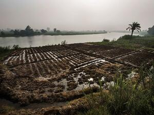 Sudan has banned all agricultural and animal product imports from Egypt amid growing tensions between the two countries. (Gianluigi Guercia/ AFP) Sudan has banned all agricultural and animal product imports from Egypt amid growing tensions between the two countries. (Gianluigi Guercia/ AFP)