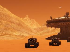 Elon Musk wants to begin a human colony on Mars. (Shutterstock)