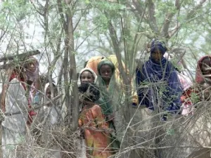 نشر قوة الحماية التي تضم 4 آلاف عنصر لتعزيز بعثة قوات حفظ السلام 