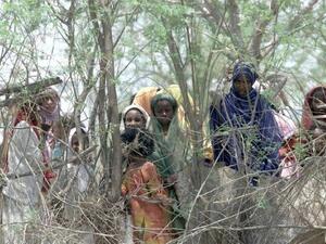 تدور في دولة جنوب السودان حرب أهلية بين القوات الحكومية وقوات المعارضة 