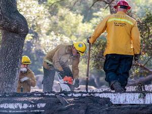 ارتفاع عدد قتلى الإنهيارات الطينية في كاليفورنيا إلى 19
