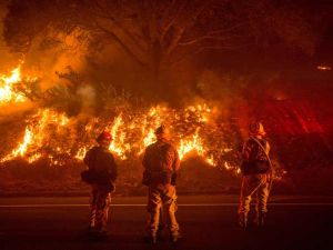 رجال الإطفاء يتمكنون من احتواء جزء كبير من حريق غابات كاليفورنيا
