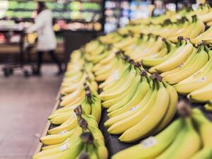 March witnessed a downward trend in price indexes of the food groups except meat, according to UN's Food and Agriculture Organization (FAO). (File photo) March witnessed a downward trend in price indexes of the food groups except meat, according to UN's Food and Agriculture Organization (FAO). (File photo)