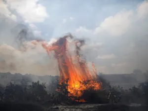 سلسلة حرائق في مستوطنات محيط قطاع غزة