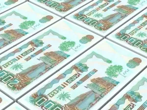 كان الوضع المالي للجزائر قد تضرر بشدة منذ بدء تراجع أسعار النفط في منتصف 2014