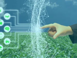 يستخدم البرنامج الرؤية الحاسوبية، وهي شكل من أشكال تعلم الآلة، لتحديد أفدنة الأعشاب أو تركيزات الكلوروفيل بسرعة أكبر من قدرة الإنسان