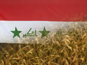 العراق تحظر 8 محاصيل صيفية بعد أزمة المياه   