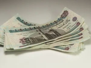 إن ارتفاع قيمة الاحتياطي من النقد الأجنبي إلى معدلات قياسية تتعدى 36 مليار دولار، وهو ما يغطي نحو 7 أشهر من فاتورة الواردات السلعية.