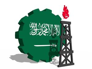 تدعم السعودية – أكبر مصدر للنفط الخام في العالم – بشدة أسعار الوقود وتكاليف المرافق وهو ما يشجع على زيادة الاستهلاك فيالبلاد