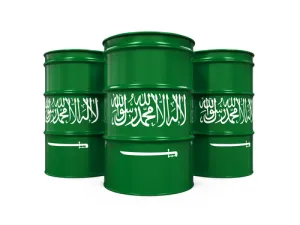 أدى انخفاض أسعار منتجات النفط والغاز محلياً، إلى انخفاض جاذبية الاستثمار في مصادر الطاقة البديلة، والاعتماد على الوقود الأحفوري -النفط الخام والغاز الطبيعي- بشكل كامل في توفير الطاقة محلياً