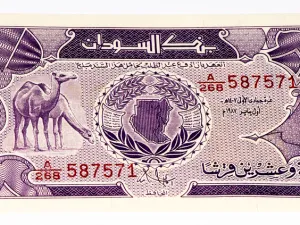 السودان تطلق " صناع السوق " للسيطرة على سوق الصرف 