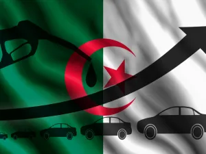 الجزائر تدرج النفط البحري والوقود الصخري في قانون المحروقات