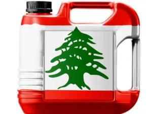 يرفض رئيسا الجمهورية والحكومة عقد جلسة لمجلس الوزراء للموافقة على رقع التنقيب المقترحة وعقود الاستكشاف والإنتاج ويعتبران أن حكومة تصريف الأعمال الحالية لا تستطيع المضي في مشروع الغاز، لأنها ذات صلاحيات محدود