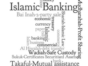 شهد قطاع التمويل الإسلامي العالمي على مدى العقود الماضية نموا كبيرا، وازدهارا وانتشار حزمة من المنتجات المالية الإسلامية الجديدة في الأسواق الرئيسة على المستوى الدولي