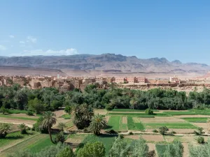 مزارعون مغاربة يخاطرون بعدم التأمين على محاصيلهم