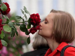 خلايا الدم تتستقبل الروائح تماماً كما يفعل الأنف، المسؤول بشكل رئيسي عن حاسة الشم