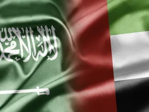السعودية والإمارات تعلنان عن رؤية مشتركة عنوانها "استراتيجية العزم" لدعم الاقتصاد 