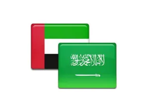 الإمارات والسعودية تبدآن استخدام عملة رقمية في عمليات التسوية