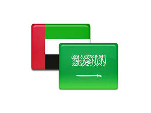 قيمة استثمارات السعودية في دولة الإمارات في تزايد مستمر وتشكل قيمة مضافة كبيرة في قطاعات العقار والصناعة والتجارة والسياحة وغيرها