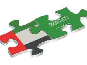 التبادل التجاري بين الإمارات والسعودية يرتفع بنسبة 11% العام الماضي 